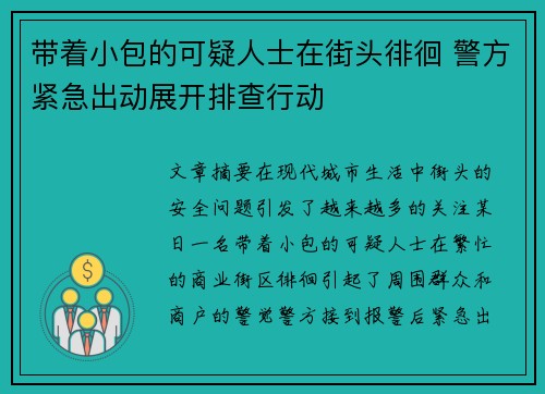 带着小包的可疑人士在街头徘徊 警方紧急出动展开排查行动