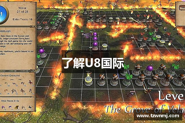 了解U8国际